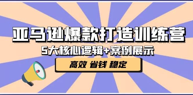亚马逊爆款打造训练营：5大核心逻辑+案例展示 打造爆款链接 高效 省钱 稳定(亚马逊爆款打造训练营5大核心逻辑+案例展示，助力卖家高效打造爆款链接)