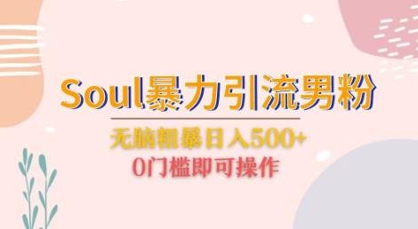 Soul暴力引流男粉玩法，无脑粗暴日入500＋，0门槛即可操作【揭秘】(揭秘Soul暴力引流男粉玩法无脑粗暴日入500＋，0门槛即可操作)