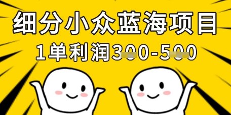 细分小众蓝海项目,一单利润3张,每月收入稳定过1w+