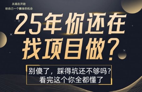 25年,你还在疯狂的找项目吗?别傻了,看完这个你都懂了