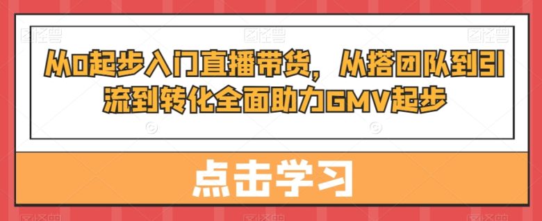从0起步入门直播带货,从搭团队到引流到转化全面助力GMV起步(全面解析直播带货从零到一的实战指南)