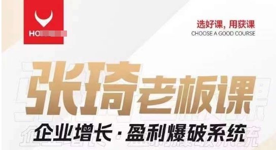 【组合课】张琦张琦老板企业增长·盈利爆破系统（直播专享）(张琦老板企业增长·盈利爆破系统全方位赋能企业发展与创新)