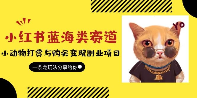 小红书蓝海类赛道：小动物打赏与购买变现副业项目，一条龙玩法分享给你！(小红书蓝海类赛道小动物打赏与购买变现副业项目揭秘)