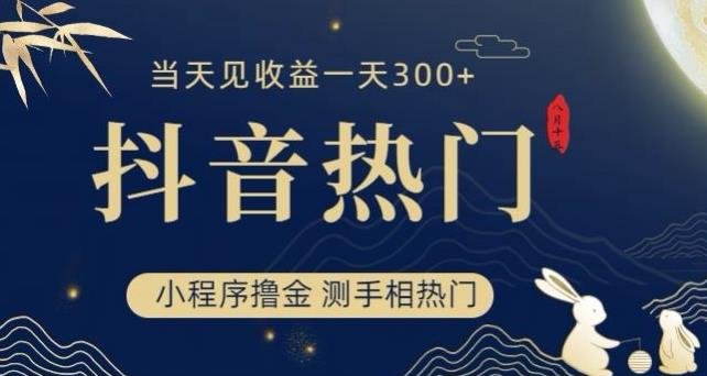 抖音最新小程序撸金，测手相上热门，当天见收益一小时变现300+【揭秘】(揭秘抖音最新小程序“撸金”，如何实现快速变现？)