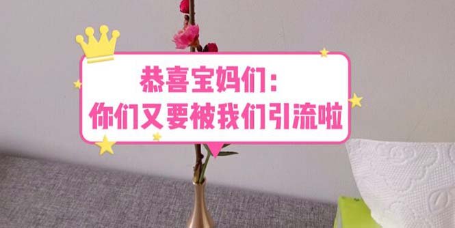 恭喜宝妈们:你们又要被我们引流了(教程+222g资料)(“宝妈们的新机遇长期引流项目带来的稳定高收入”) 恭喜宝妈们:你们又要被我们引流了(教程+222g资料)(“宝妈们的新机遇长期引流项目带来的稳定高收入”)