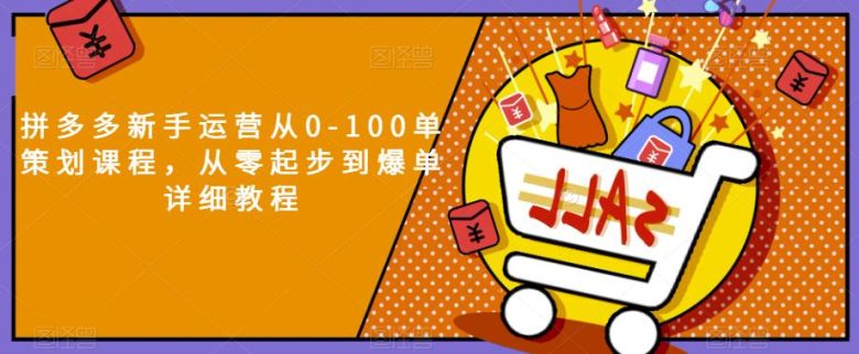拼多多新手运营从0-100单策划课程,从零起步到爆单详细教程(拼多多新手运营从0到100单全程指导手册) 拼多多新手运营从0-100单策划课程,从零起步到爆单详细教程(拼多多新手运营从0到100单全程指导手册)