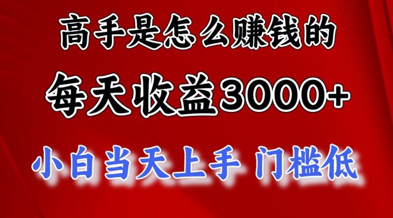 高手是怎么赚钱的，一天收益3000+，闷声发财项目，不是一般人能看懂的