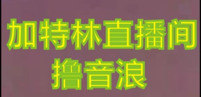 抖音加特林直播间搭建技术,抖音0粉开播,暴力撸音浪,2023新口子,每天800+【素材+详细教程】(2023最新抖音撸音浪技术,小白也能轻松赚钱!) 抖音加特林直播间搭建技术,抖音0粉开播,暴力撸音浪,2023新口子,每天800+【素材+详细教程】(2023最新抖音撸音浪技术,小白也能轻松赚钱!)