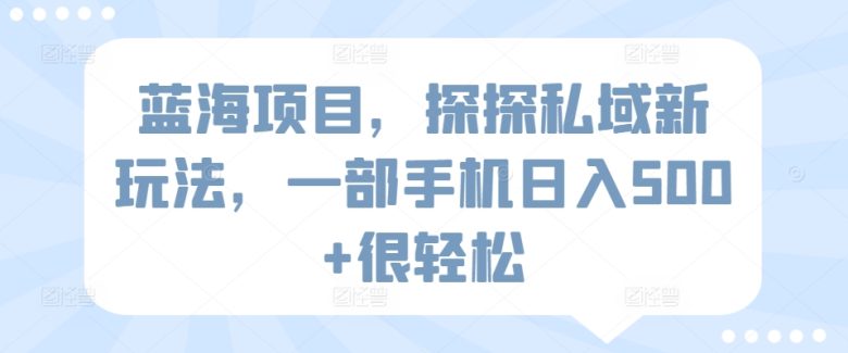 蓝海项目,探探私域新玩法,一部手机日入500+很轻松 蓝海项目,探探私域新玩法,一部手机日入500+很轻松