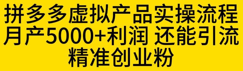 拼多多虚拟产品实操流程，月产5000+利润，还能引流精准创业粉【揭秘】(揭秘拼多多虚拟产品实操流程及其利润与引流效果)
