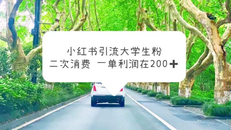 小红书引流大学生粉，变现项目，一单利润在200+（教程+资源）(“利用小红书引流大学生粉丝，实现私域变现的新策略”)