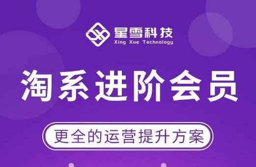 星雪·淘系进阶课程,快速提升突破技能流量瓶颈必备(更新2023年5月)(星雪·淘系进阶课程助您快速突破技能瓶颈,提升店铺运营效率) 星雪·淘系进阶课程,快速提升突破技能流量瓶颈必备(更新2023年5月)(星雪·淘系进阶课程助您快速突破技能瓶颈,提升店铺运营效率)