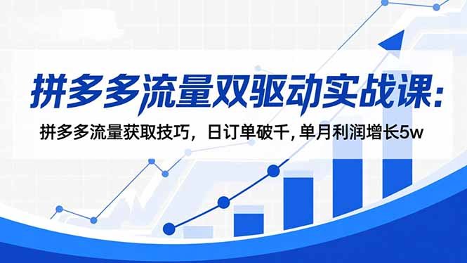 拼多多流量双驱动实战课:拼多多流量获取技巧,日订单破千,单月利润增长5w