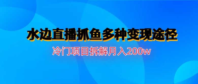 水边直播抓鱼多种变现途径冷门项目月入200w拆解(深度解析“水边直播抓鱼”项目及其多元化变现策略)