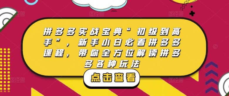 拼多多实战宝典“初级到高手”,新手小白必看拼多多课程,带你全方位解读拼多多各种玩法(拼多多实战宝典“初级到高手”,助你解决店铺运营难题) 拼多多实战宝典“初级到高手”,新手小白必看拼多多课程,带你全方位解读拼多多各种玩法(拼多多实战宝典“初级到高手”,助你解决店铺运营难题)