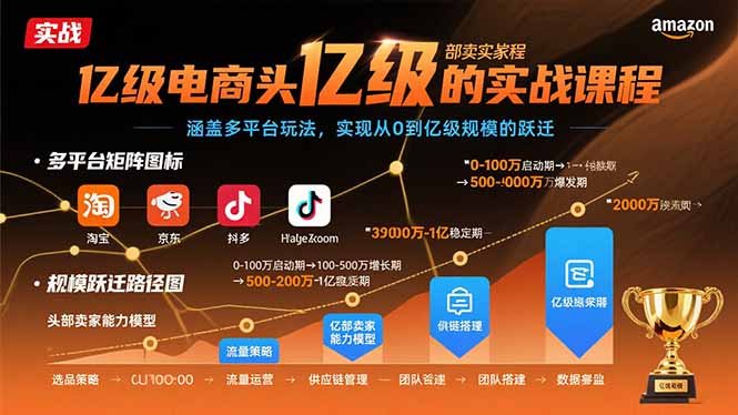 亿级电商头部卖家的实战课程:涵盖多平台玩法,实现从0到亿级规模的跃迁