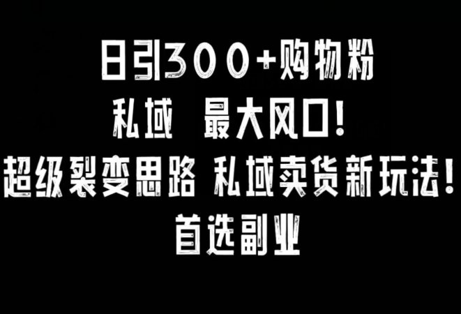 日引300+购物粉,超级裂变思路,私域卖货新玩法,小红书首选副业