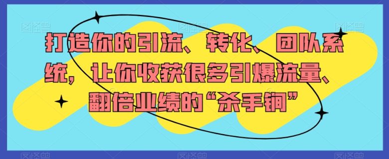 打造你的引流、转化、团队系统，让你收获很多引爆流量、翻倍业绩的“杀手锏”(mp5108期课程打造引流、转化、团队系统，实现引爆流量与翻倍业绩)