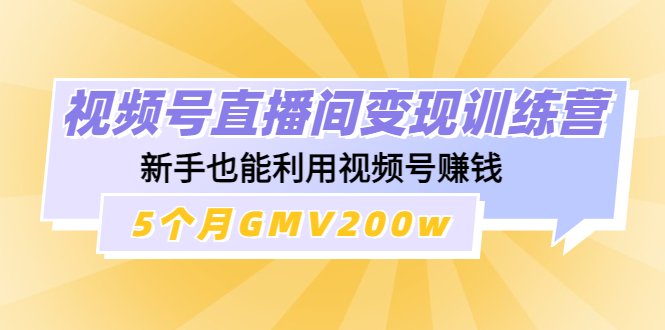 视频号直播间变现训练营:新手也能利用视频号赚钱,5个月GMV200w(全面解析视频号直播间变现训练营从新手到赚钱高手的一站式学习指南) 视频号直播间变现训练营:新手也能利用视频号赚钱,5个月GMV200w(全面解析视频号直播间变现训练营从新手到赚钱高手的一站式学习指南)