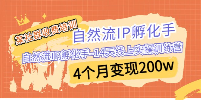 某社群收费培训：自然流IP 孵化手-14天线上实操训练营 4个月变现200w(掌握短视频变现秘诀，4个月轻松实现200万收入！)