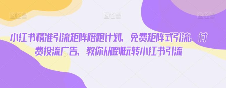 小红书精准引流矩阵陪跑计划，免费矩阵式引流，付费投流广告，教你从0到1玩转小红书引流(小红书精准引流矩阵陪跑计划从理论到实战，全面掌握小红书引流技巧)