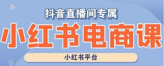 小红书电商高级运营课程,实操教学+案例分析(全面解析小红书电商运营技巧,助力店铺高效发展)