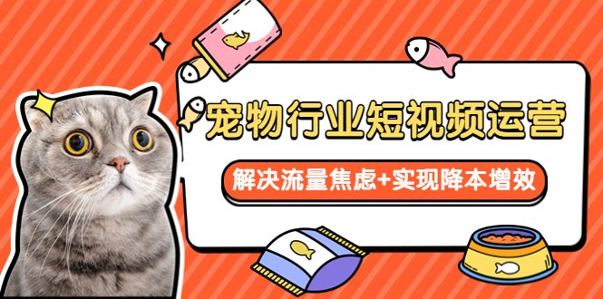 宠物/行业短视频运营  流量增长的一层窗户纸  解决流量焦虑+实现降本增效(宠物/行业短视频运营全攻略解决流量焦虑，实现降本增效)