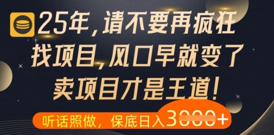 什么?25年你还在疯狂找项目做,醒醒吧,看完这些你全都懂了