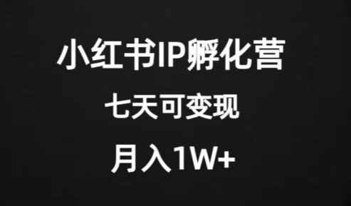 价值2000+的小红书IP孵化营项目，超级大蓝海，七天即可开始变现，稳定月入1W+(探索小红书IP孵化营项目七天即可开始变现，稳定月入1W+)