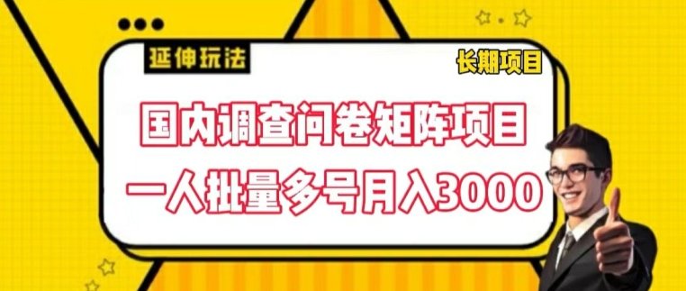 国内调查问卷矩阵项目,一人批量多号月入3000 国内调查问卷矩阵项目,一人批量多号月入3000