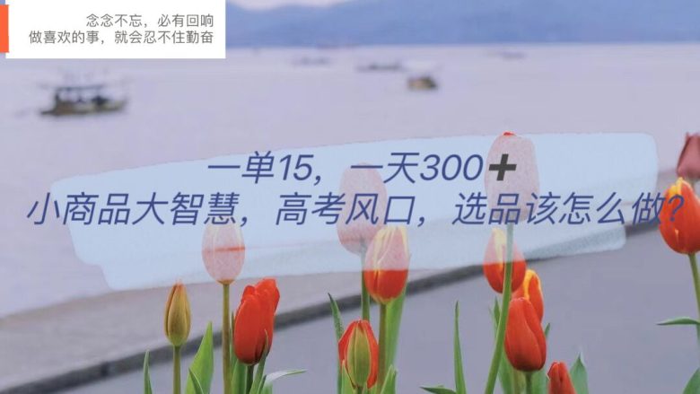 一单15,一天300+,小商品大智慧,高考风口,选品该怎么布局(“高考风口下的小商品大智慧选品布局与快速变现策略”) 一单15,一天300+,小商品大智慧,高考风口,选品该怎么布局(“高考风口下的小商品大智慧选品布局与快速变现策略”)