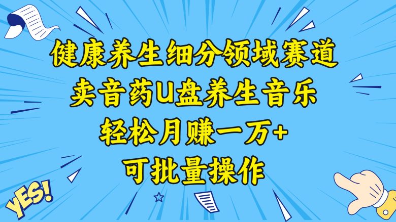 健康养生细分领域赛道,卖音药U盘养生音乐,轻松月赚一万+,可批量操作 健康养生细分领域赛道,卖音药U盘养生音乐,轻松月赚一万+,可批量操作