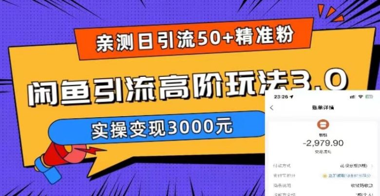 实测日引50+精准粉，闲鱼引流高阶玩法3.0，实操变现3000元(实测日引50+精准粉，闲鱼引流高阶玩法3.0实操变现指南)