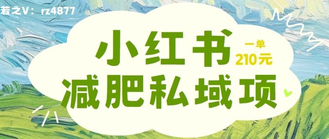 小红书减肥粉,私域变现项目,一单就达210元,小白也能轻松上手