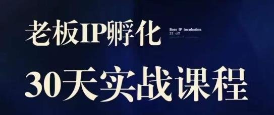 诸葛·2023老板IP实战课,实体同城引流获客,IP孵化必听(“全面掌握实体同城引流获客与IP孵化秘诀——诸葛·2023老板IP实战课”)