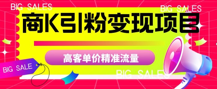 商K引粉变现项目，高客单价精准流量【揭秘】(深度解析商K引粉变现项目及其实施策略)