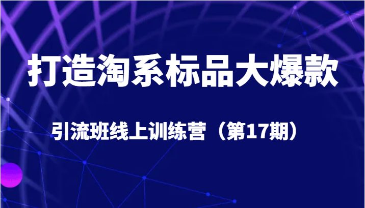 5天直播授课+1个月答疑(掌握视频号直播带货技巧，助力淘系标品大爆款引流)