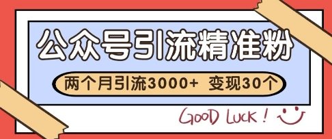 公众号精准粉引流玩法,2个月3000+精准粉,变现30个W