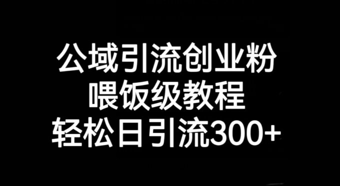公域引流创业粉，喂饭级教程，轻松日引流300+【揭秘】(公域引流创业粉喂饭级教程助您轻松日引流300+)