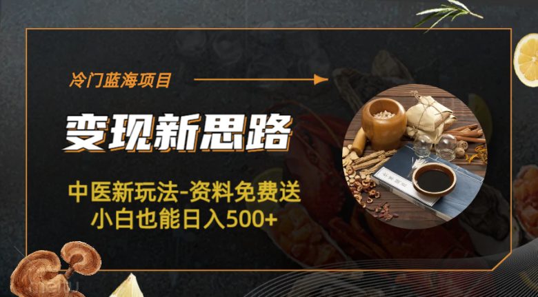 冷门蓝海项目-中医新玩法-资料免费送小白也能日入500+(利用中医热度,免费送资料的新商业模式探索) 冷门蓝海项目-中医新玩法-资料免费送小白也能日入500+(利用中医热度,免费送资料的新商业模式探索)