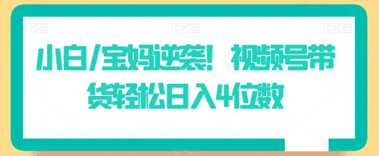 小白/宝妈逆袭!视频号带货轻松日入4位数 小白/宝妈逆袭!视频号带货轻松日入4位数