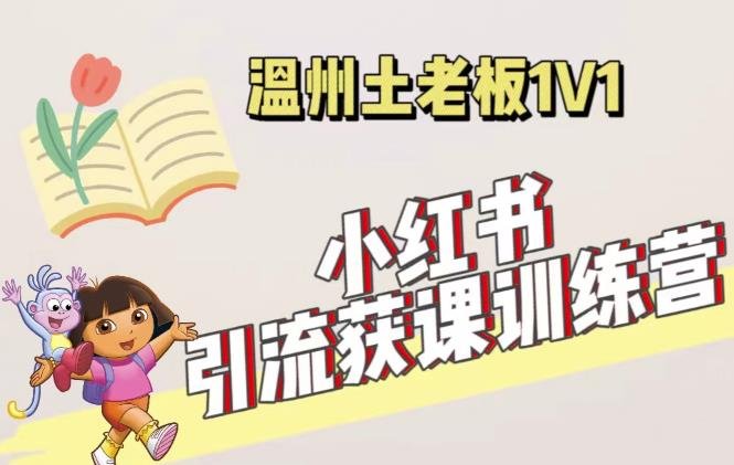 小红书1对1引流获客训练营：账号、内容、引流、成交（价值3999元）(小红书1对1引流获客训练营掌握账号、内容、引流、成交四大核心技能)