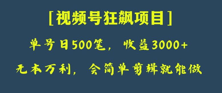 日收款500笔，纯利润3000+，视频号狂飙项目！(视频号狂飙项目手把手教你制作表情包，实现自动收益)