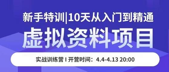 虚拟资料项目新手特训，10天从入门到精通，保姆级实操教学(全面掌握虚拟资料项目运营技巧，实现快速进阶与高效引流)