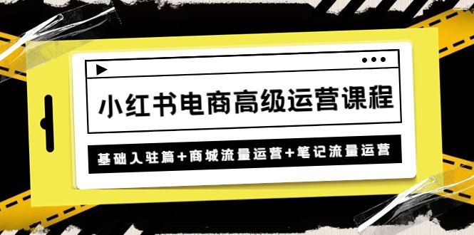 小红书电商高级运营课程：基础入驻篇+商城流量运营+笔记流量运营(全面掌握小红书电商运营技巧，提升店铺业绩)