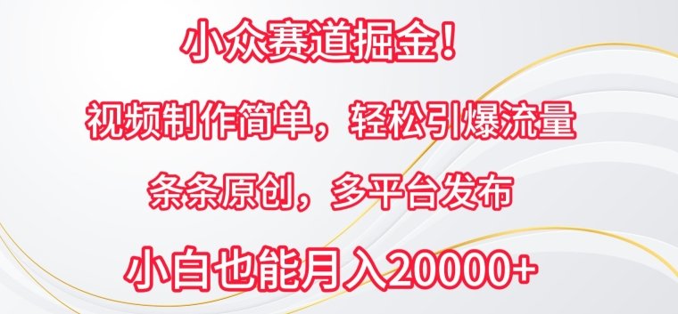 小众赛道掘金,视频制作简单,轻松引爆流量,条条原创,多平台发布 小众赛道掘金,视频制作简单,轻松引爆流量,条条原创,多平台发布