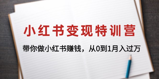 小红书变现特训营:带你做小红书赚钱,从0到1月入过万(小红书变现特训营助你轻松掌握涨粉与变现技巧)