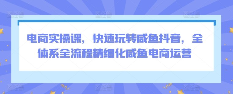 电商实操课,快速玩转咸鱼抖音,全体系全流程精细化咸鱼电商运营 电商实操课,快速玩转咸鱼抖音,全体系全流程精细化咸鱼电商运营