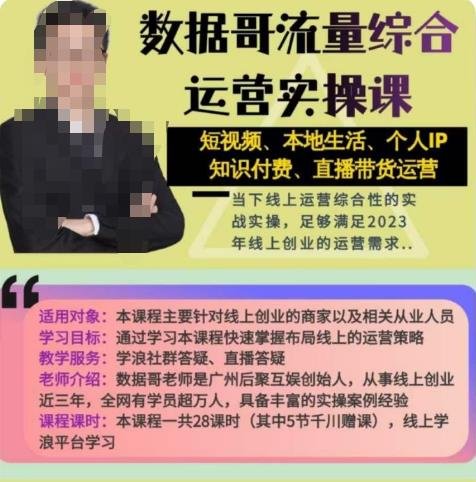 数据哥流量综合运营实操课全面掌握线上运营策略，助力创业者成功)