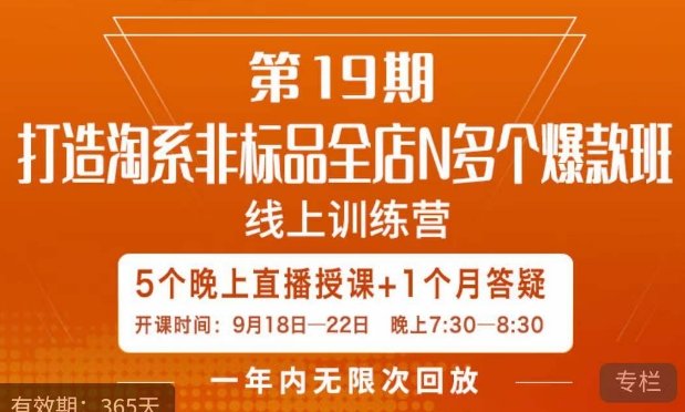 打造淘系非标全店N多个爆款线上课，​5天直播课(打造淘系非标全店爆款，提升电商运营能力)